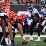 Atlanta Falcons v Cincinnati Bengals